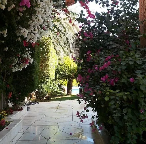 Beautiful Luxurious At Stella Di Mare Villa Ain Sukhna
